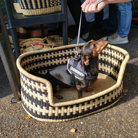 Dog Basket