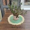 Fringe Sisal Placemats - Wall Decor - Hadiya