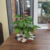 Rwandan basket - African wall basket - Isaro