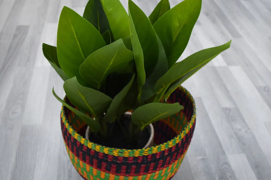 How to Choose the Perfect Planter Basket for Your Indoor Plants