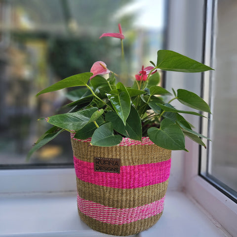 Kenyan Basket - Sisal Basket - KB13