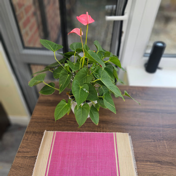 Raffia Table Runner and Placemats - Ugandan tablemat -RTM06_1